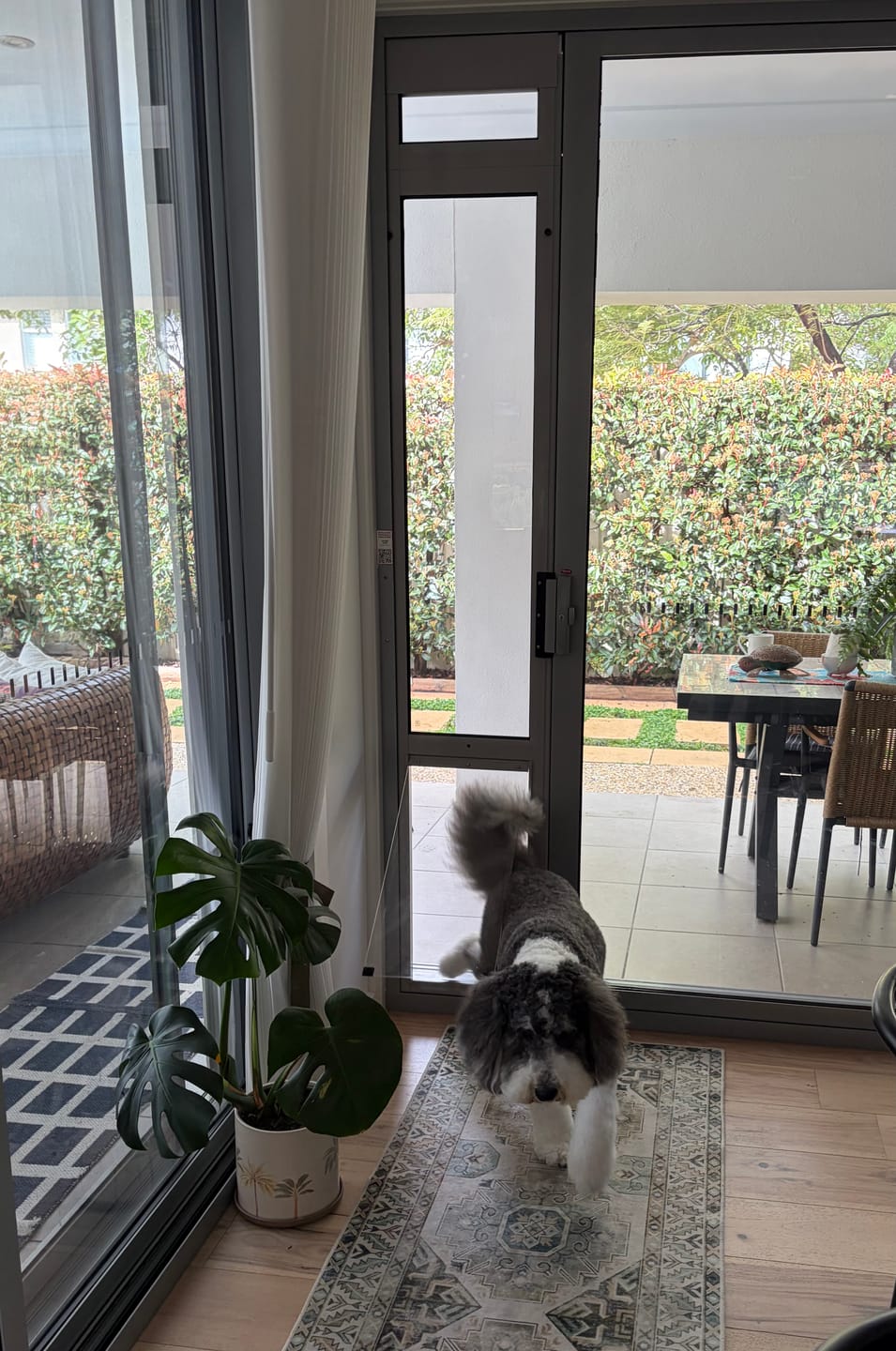 Customer photo review of Pet Door Inserts
