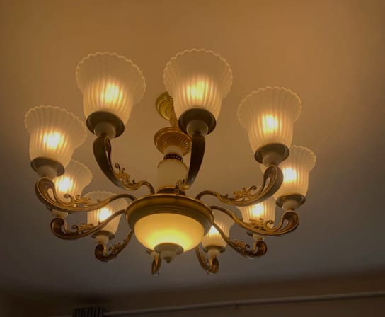 Customer photo review of Elegant Bronze Frosted White Glass Flower Chandelier