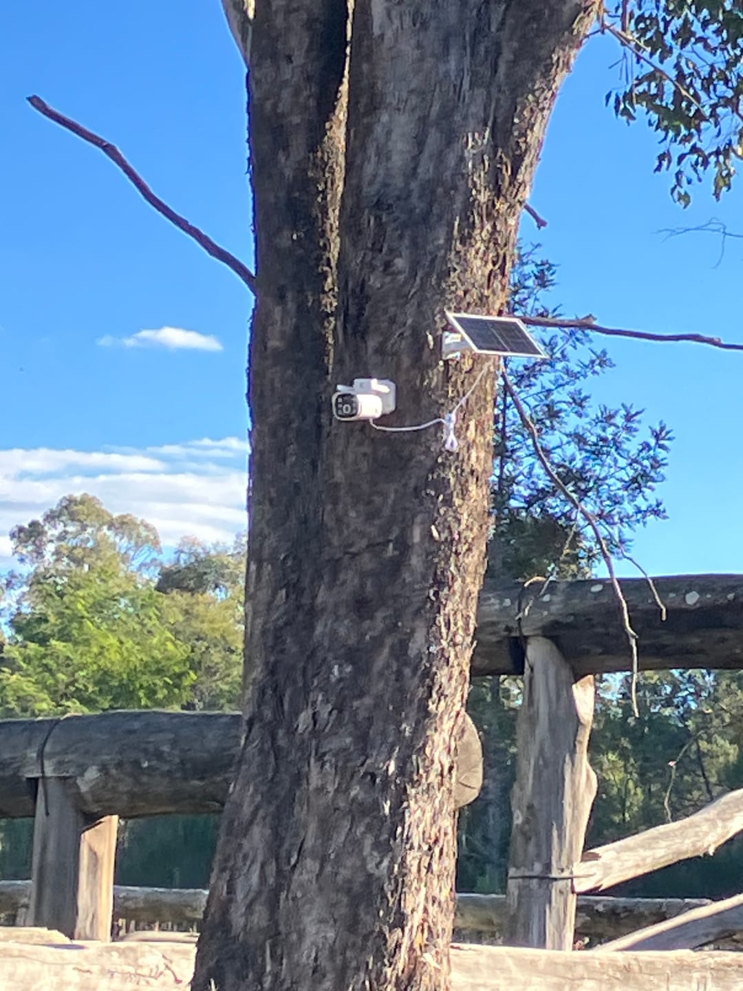 Customer photo review of Solar Camera Pro 2.0 4G® - (DOES NOT WORK WITH WIFI, REQUIRES SIM CARD)
