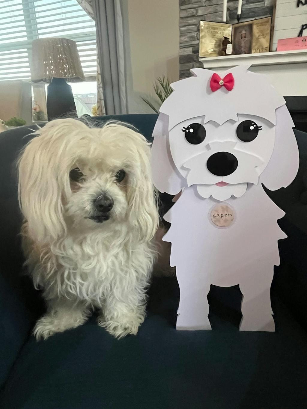 Customer photo review of Dog Planter - Maltese