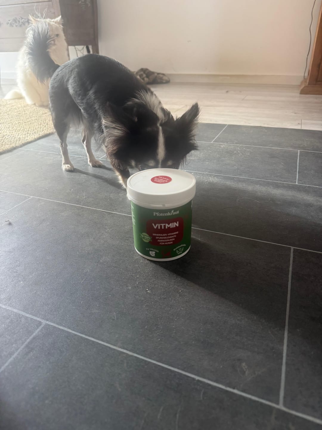 Customer photo review of Mineralien für Hunde ''VitMin''
