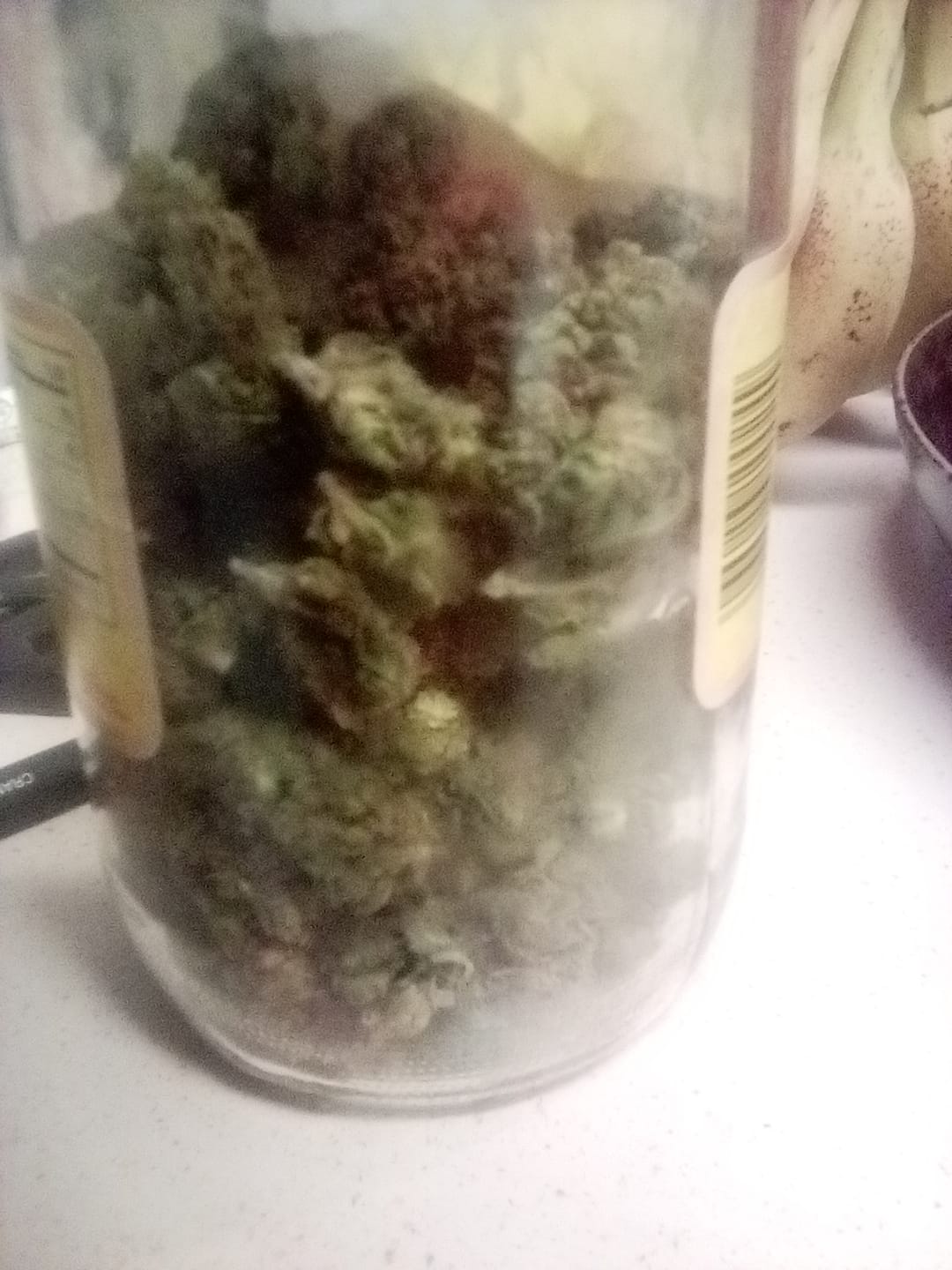 Customer photo review of Jungle Gelato - 28 Grams - Indica