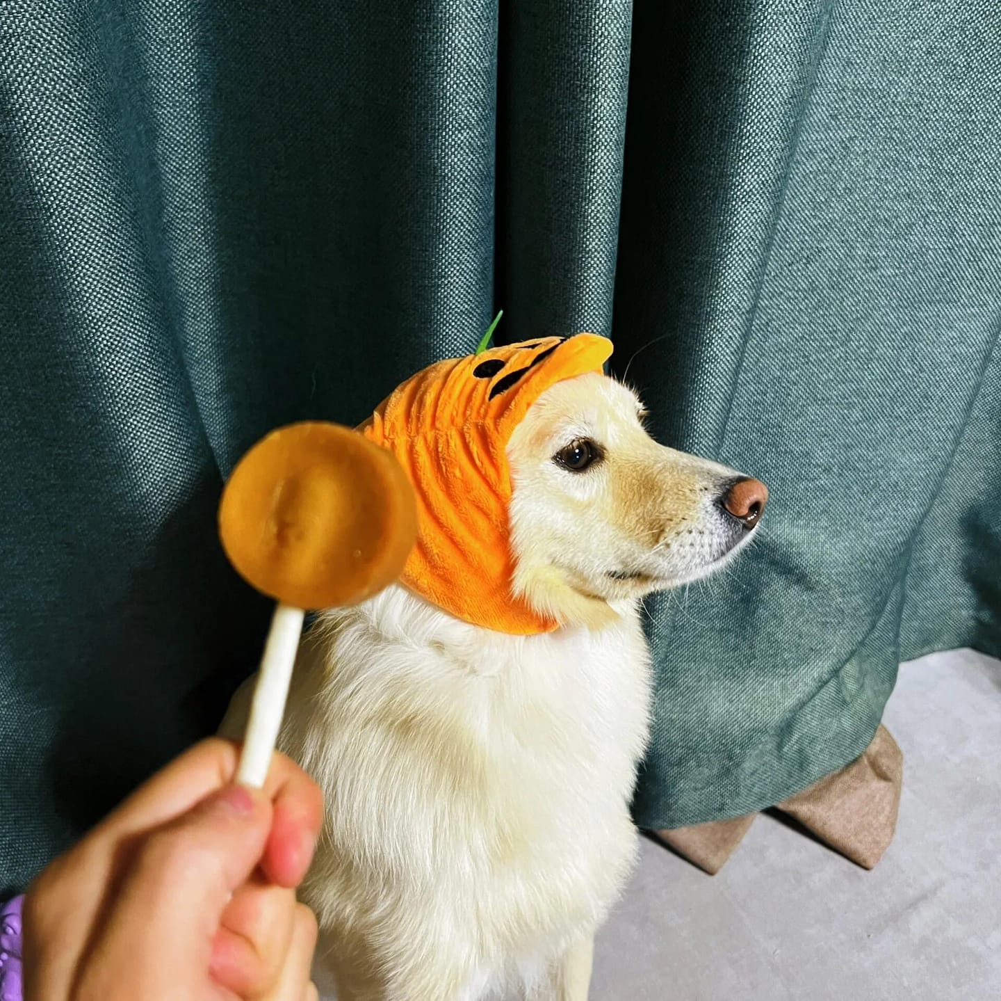 Customer photo review of Halloween Pumpkin Hats Costume