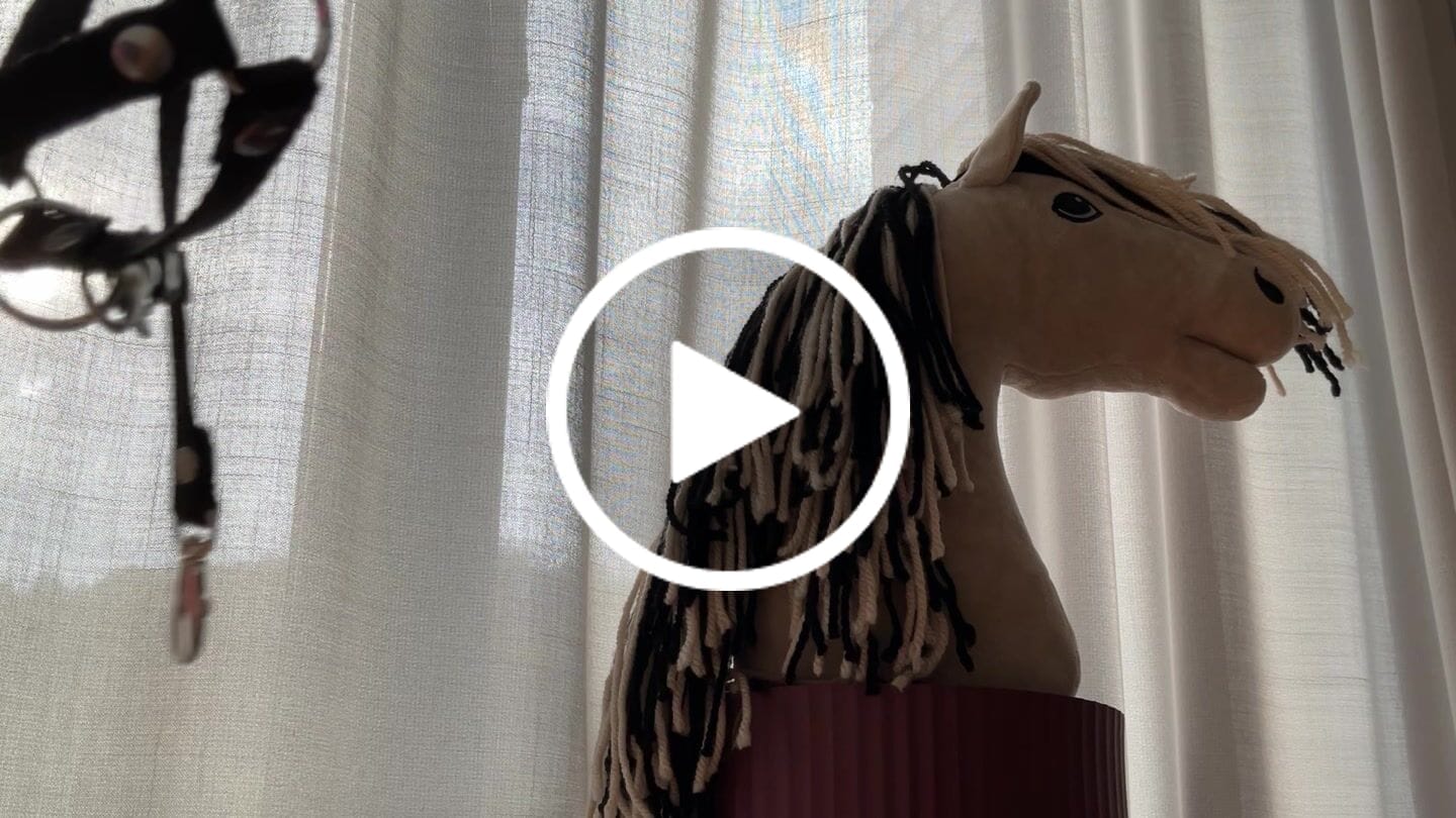 Customer video review of Hobby Horse Aurora with Black Halter
