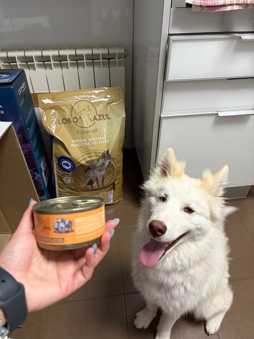 Customer photo review of Grain Free Adult Salmon