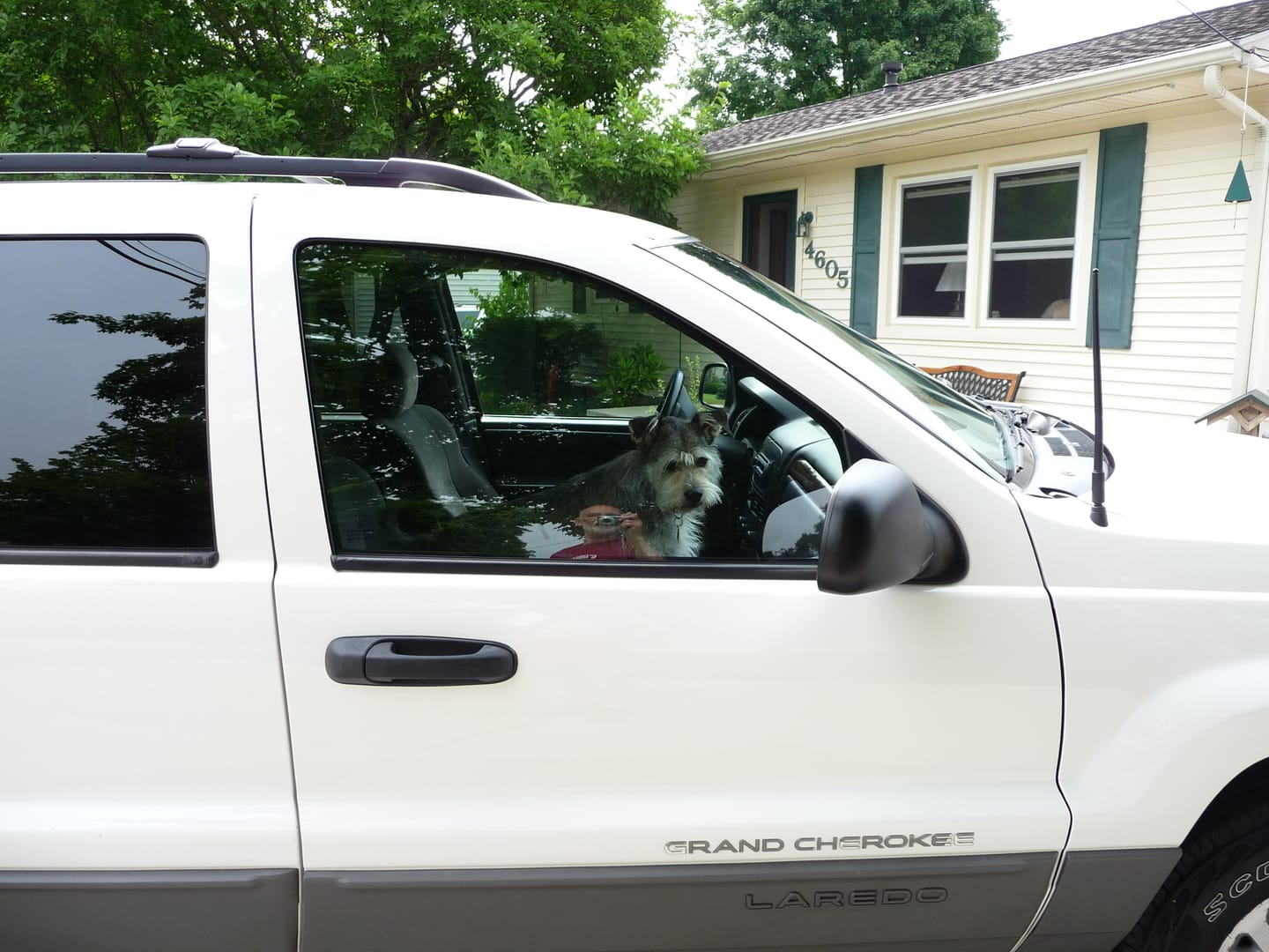 Customer photo review of Diamond Shine Glass Cleaner