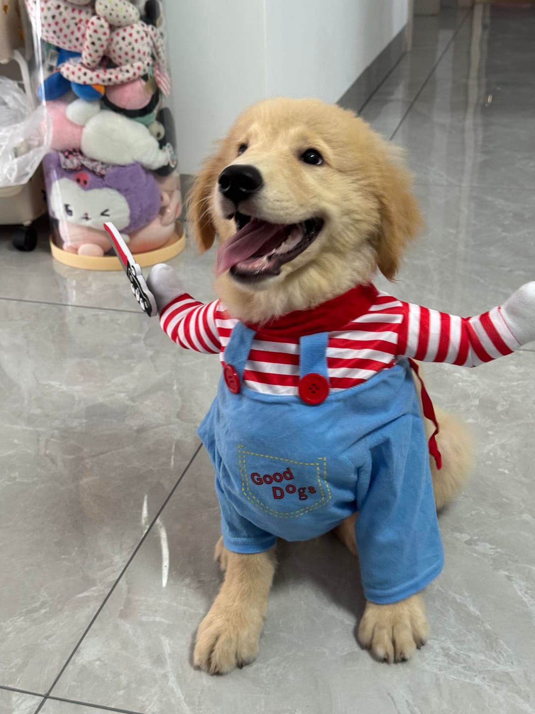 Customer photo review of Overalls with Knife Holder costume