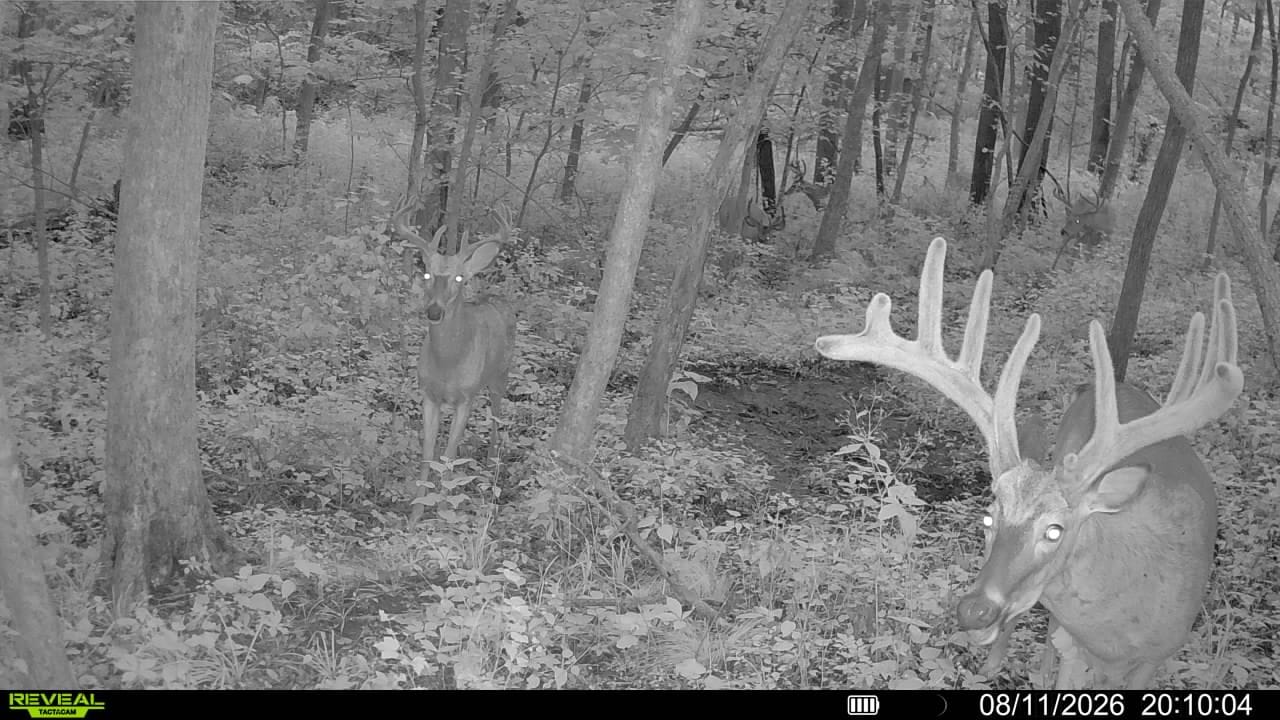 Customer photo review of Tactacam Reveal Ultra Cellular Trail Camera