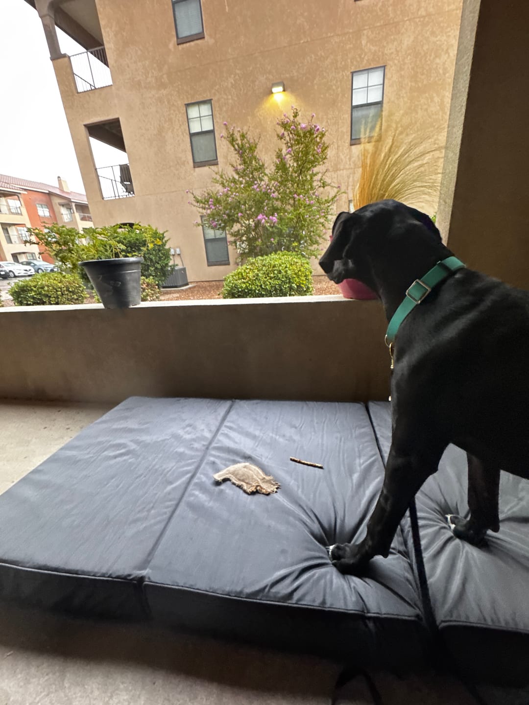 Customer photo review of Big Ass Tri-FoldAway™