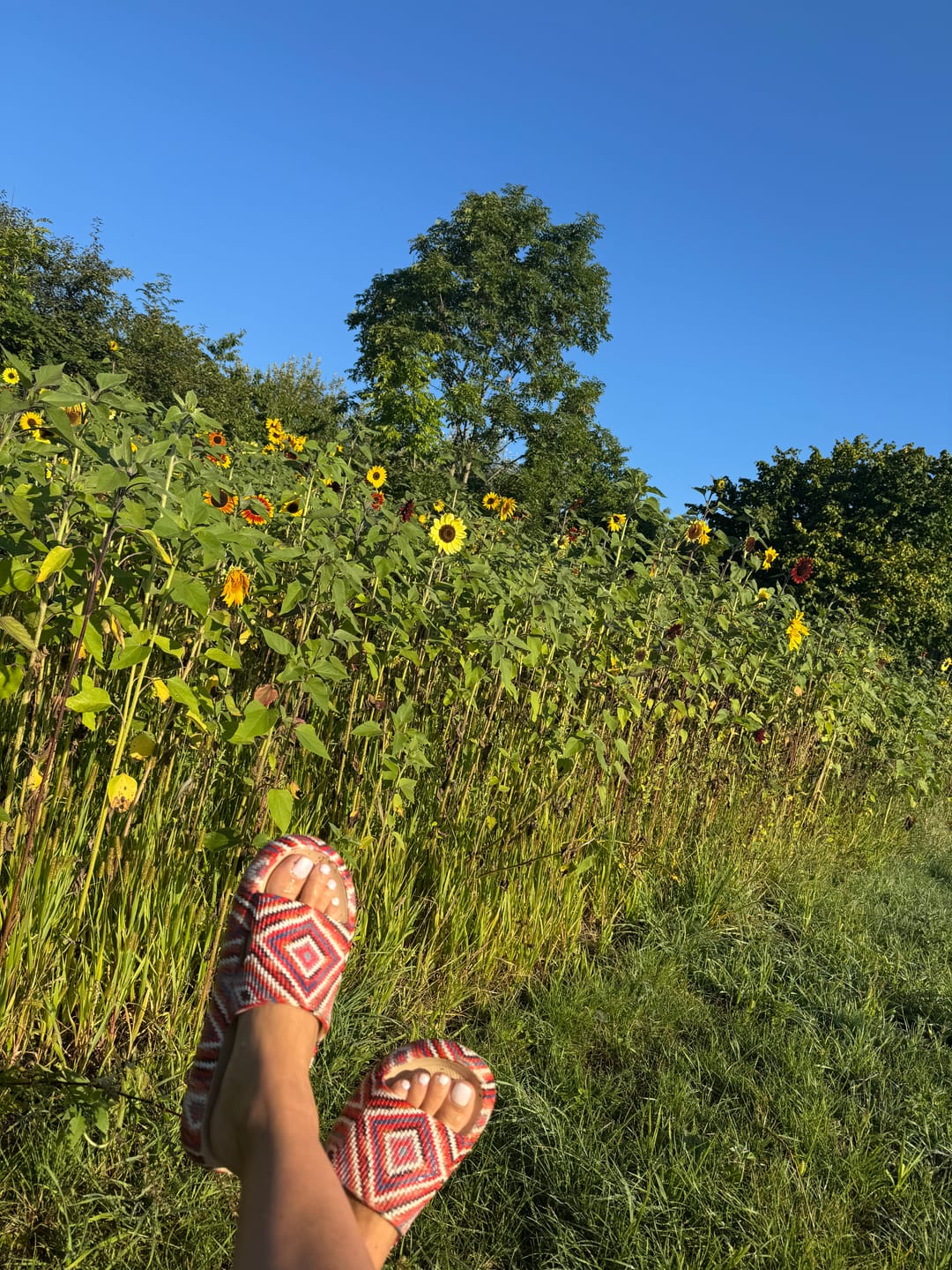 Customer photo review of HappyFlops Bohemian