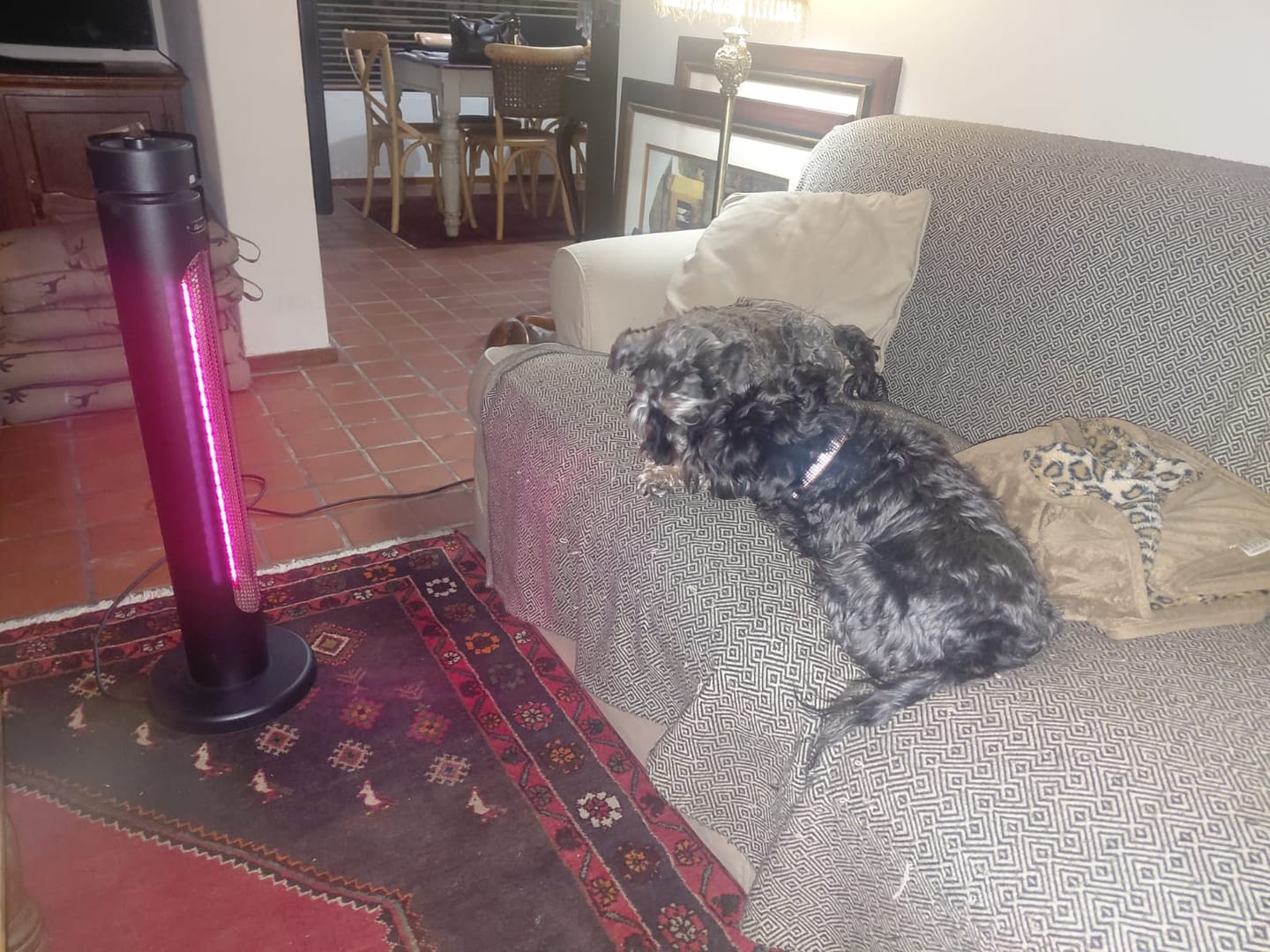 Customer photo review of Indoor & Outdoor Infrared Heater