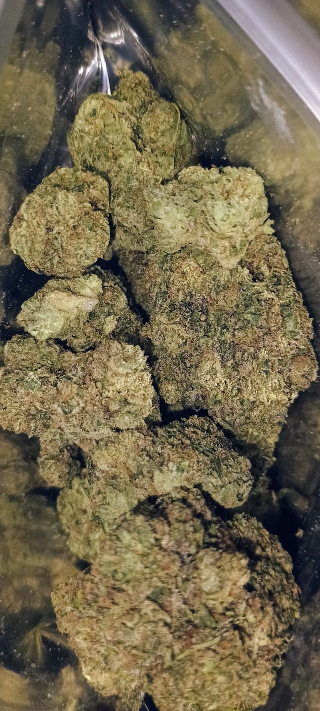 Customer photo review of Dank Blueberry Cruffin THCA Flower