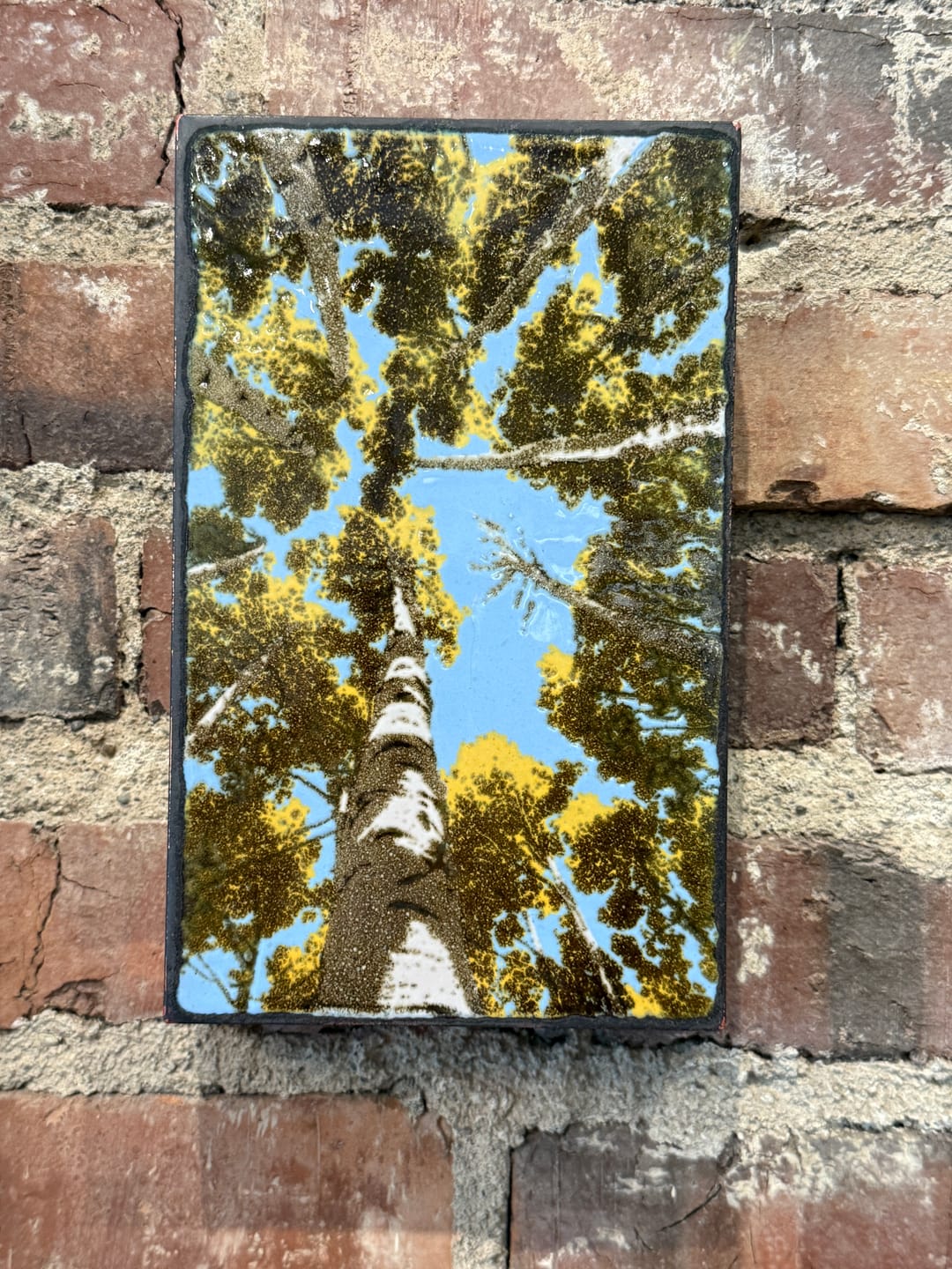 Customer photo review of Depth Perception| Houston Llew Spiritile