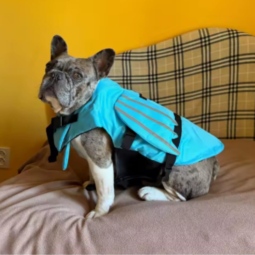 Customer photo review of Flotador Canino