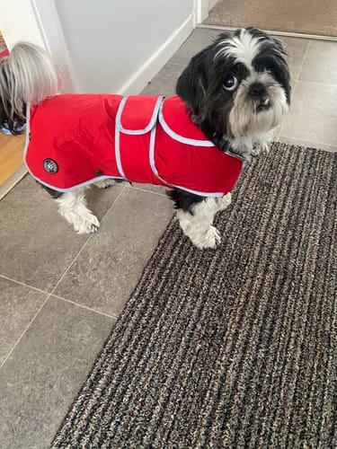 Customer photo review of Stormguard Softshell Summer Rain Coat