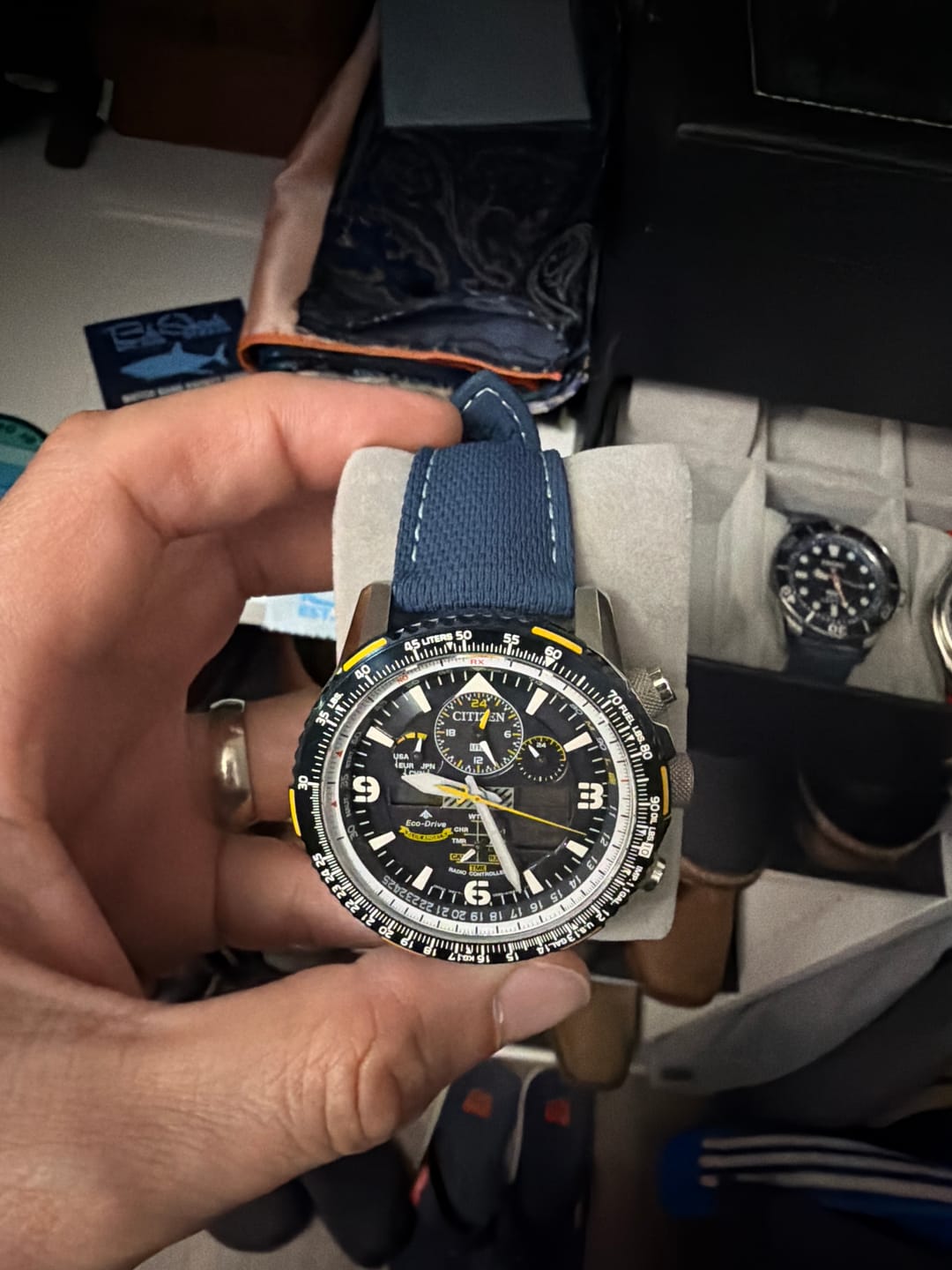 Customer photo review of Sailcloth Rubber Buckle - Blue/White