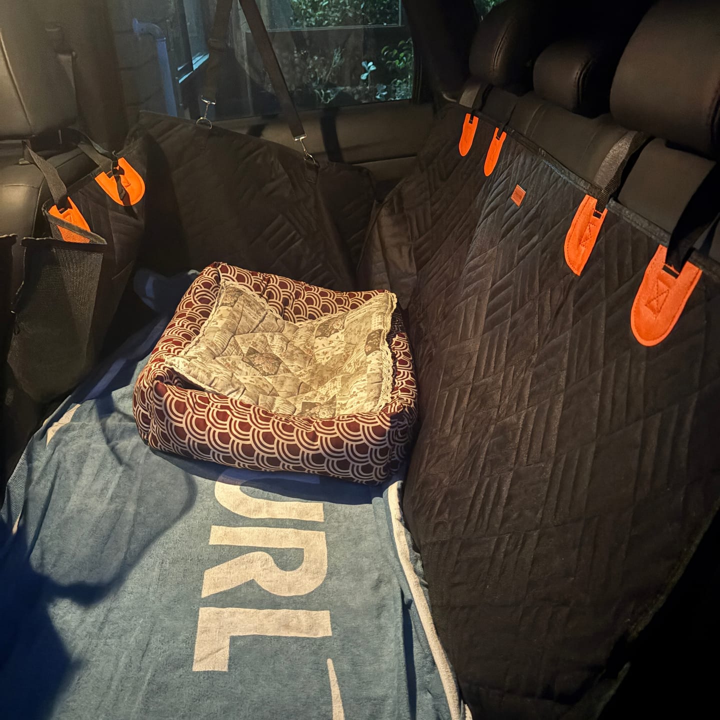 Customer photo review of Companion&Co™ Hard Bottom Car Seat Cover