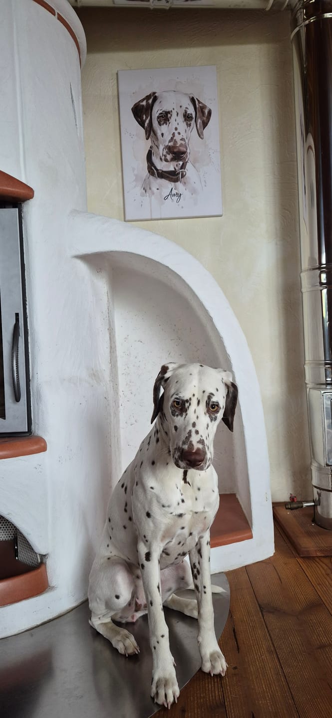 Customer photo review of Aquarell Haustier-Portrait – personalisierte Leinwand nach deinem Foto