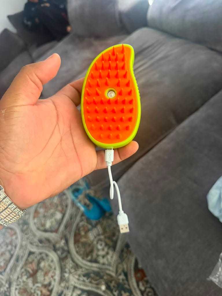 Customer photo review of 3-in-1 Steam Spray Brush