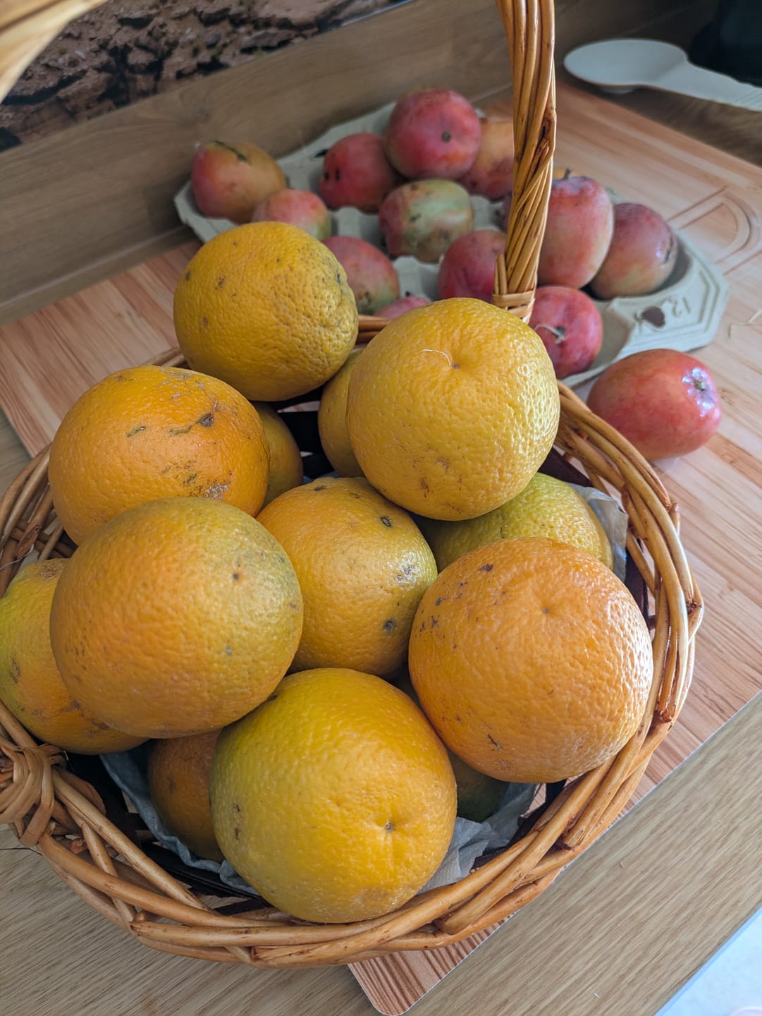 Customer photo review of Sommer-Saftorangen Bio aus Kreta