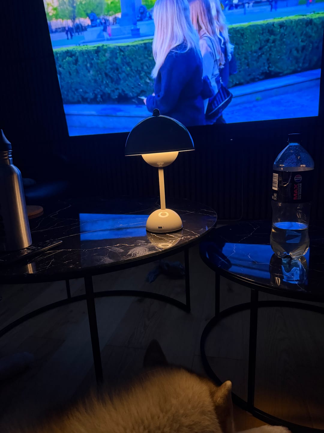 Customer photo review of Bordslampa LED 29,5 cm – uppladdningsbar svamplampa | Flowerbud