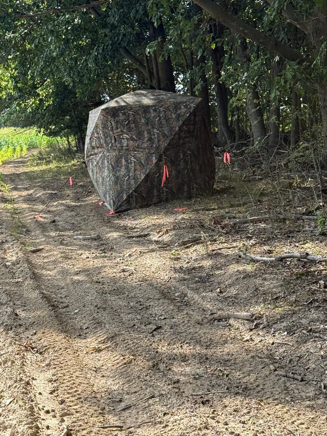 Customer photo review of FLASH SALE VisX/VisMax 270 Degree Ground Blind | See-Through Duck Blind & Portable Pop-Up Deer Blind | Camouflage Hunting Blinds & Best Budget Ground Options