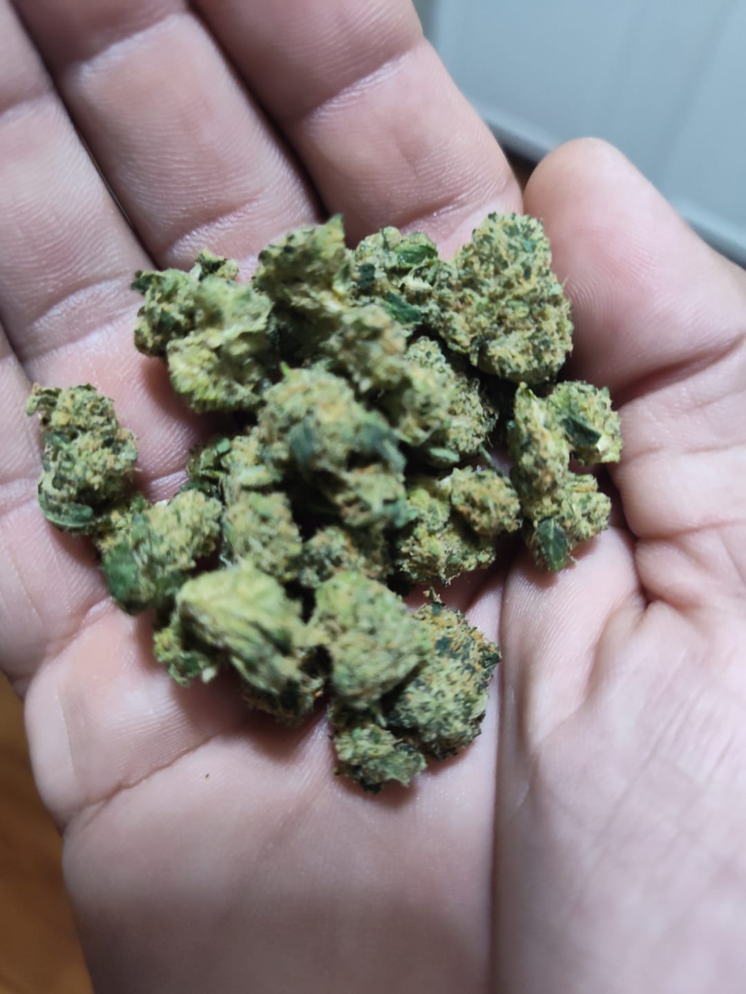 Customer photo review of Biscotti THCA Flower (Budget)