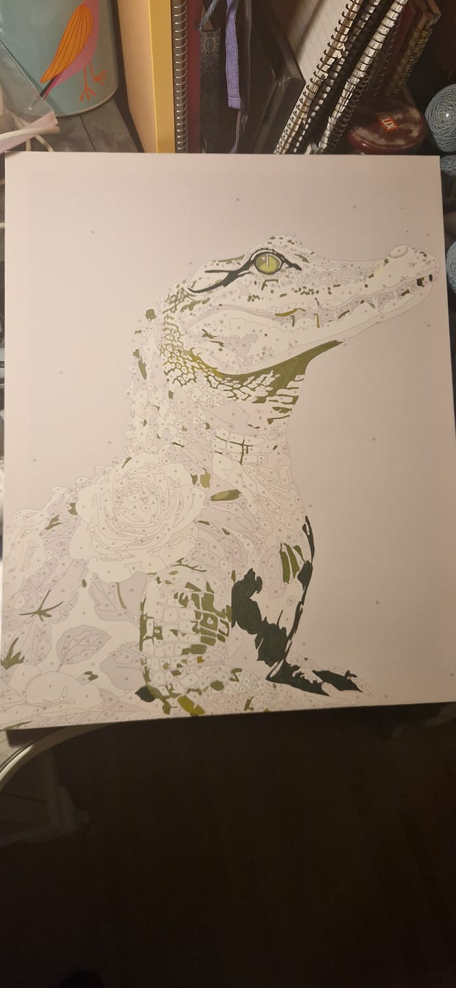 Customer photo review of One Fancy Gator | Paint by Number