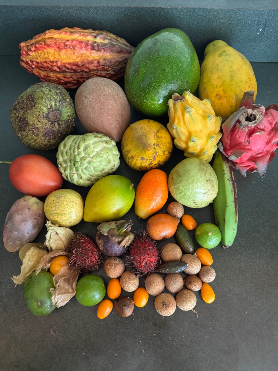 Customer photo review of Variety Box
