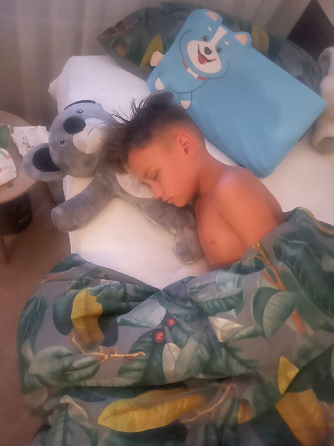Customer photo review of Lotgenootje Koala 2kg