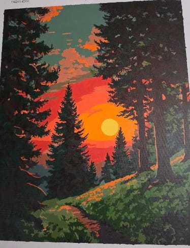 Customer photo review of Sunset in Alpine Forest | Paint by Number