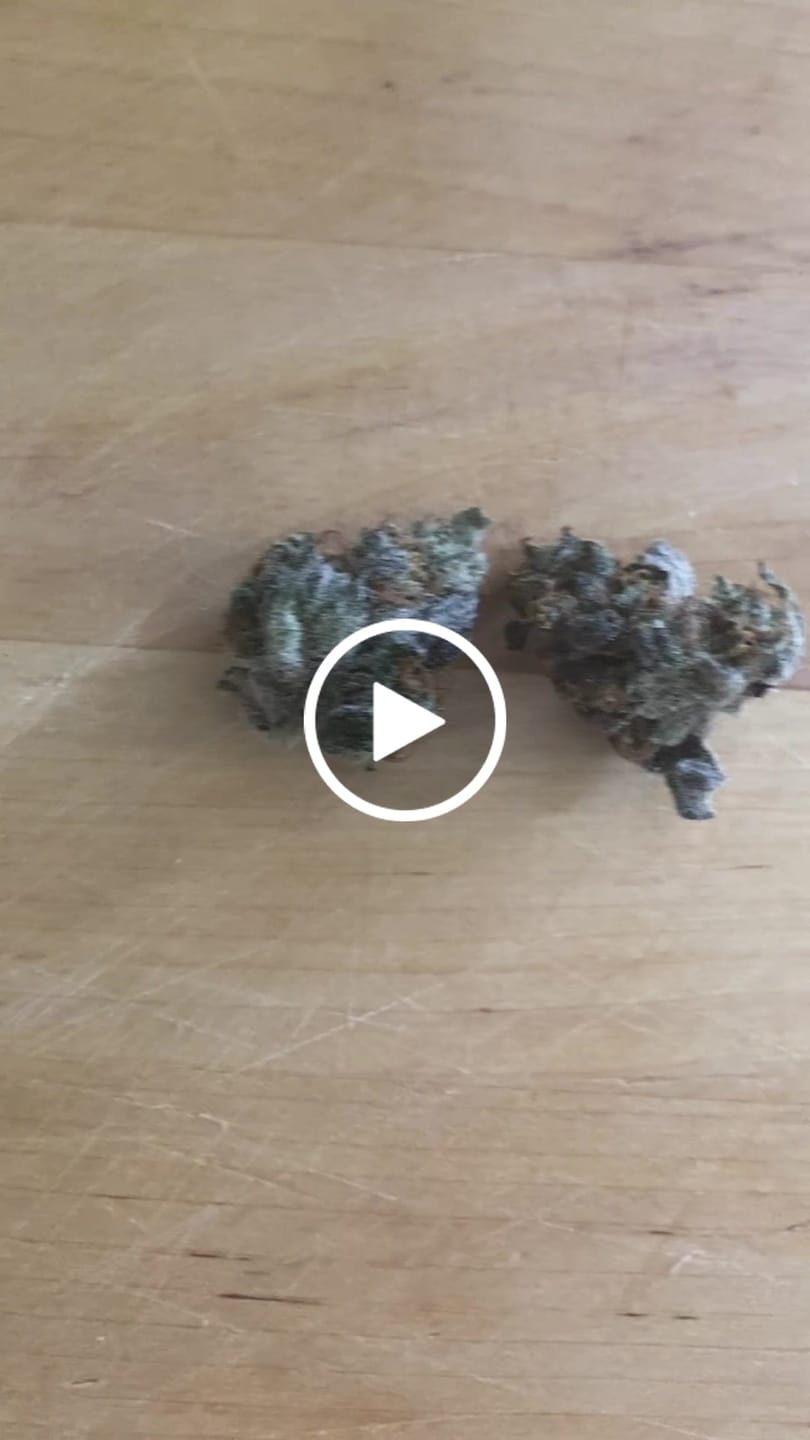 Customer video review of Blueberry Kush