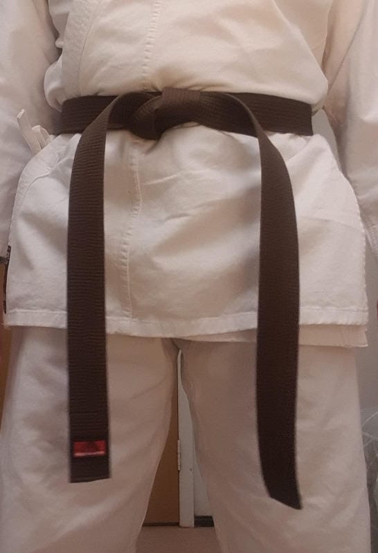 Customer photo review of Isami Brown Belt