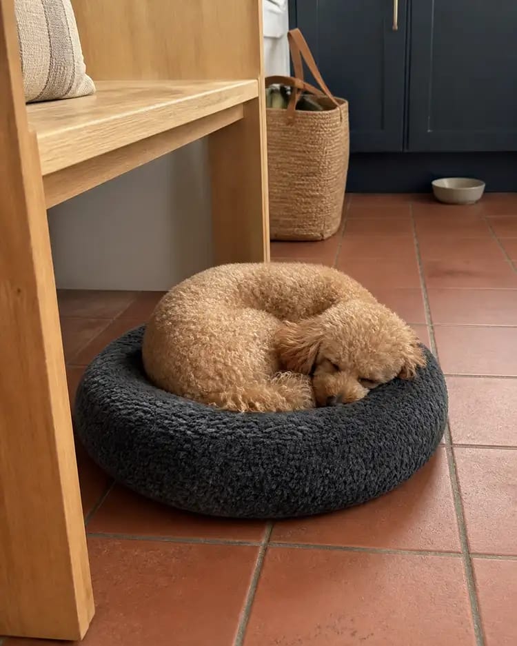 Customer photo review of PlushNest Orthopedic Pet Bed