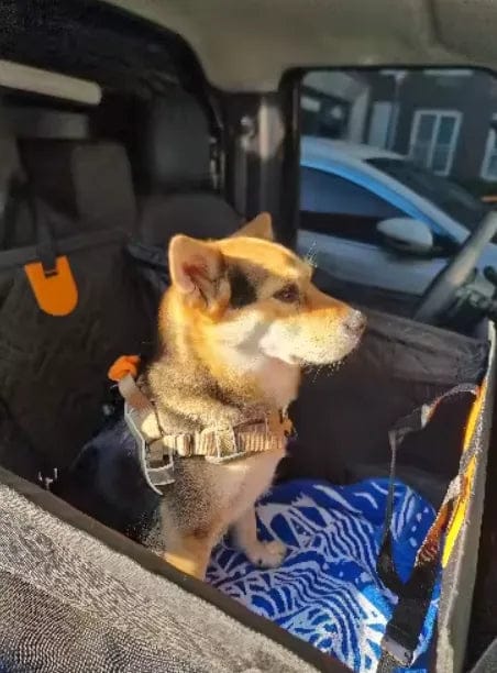 Customer photo review of Caisse de transport sécurisé voiture pour chien
