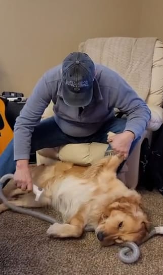 Customer photo review of Pawsky™ 2-in-1: Brushes & Vacuums