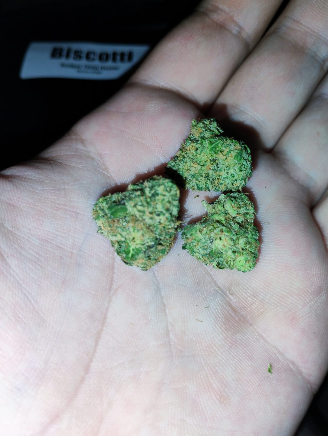 Customer photo review of Biscotti THCA Flower (Budget)