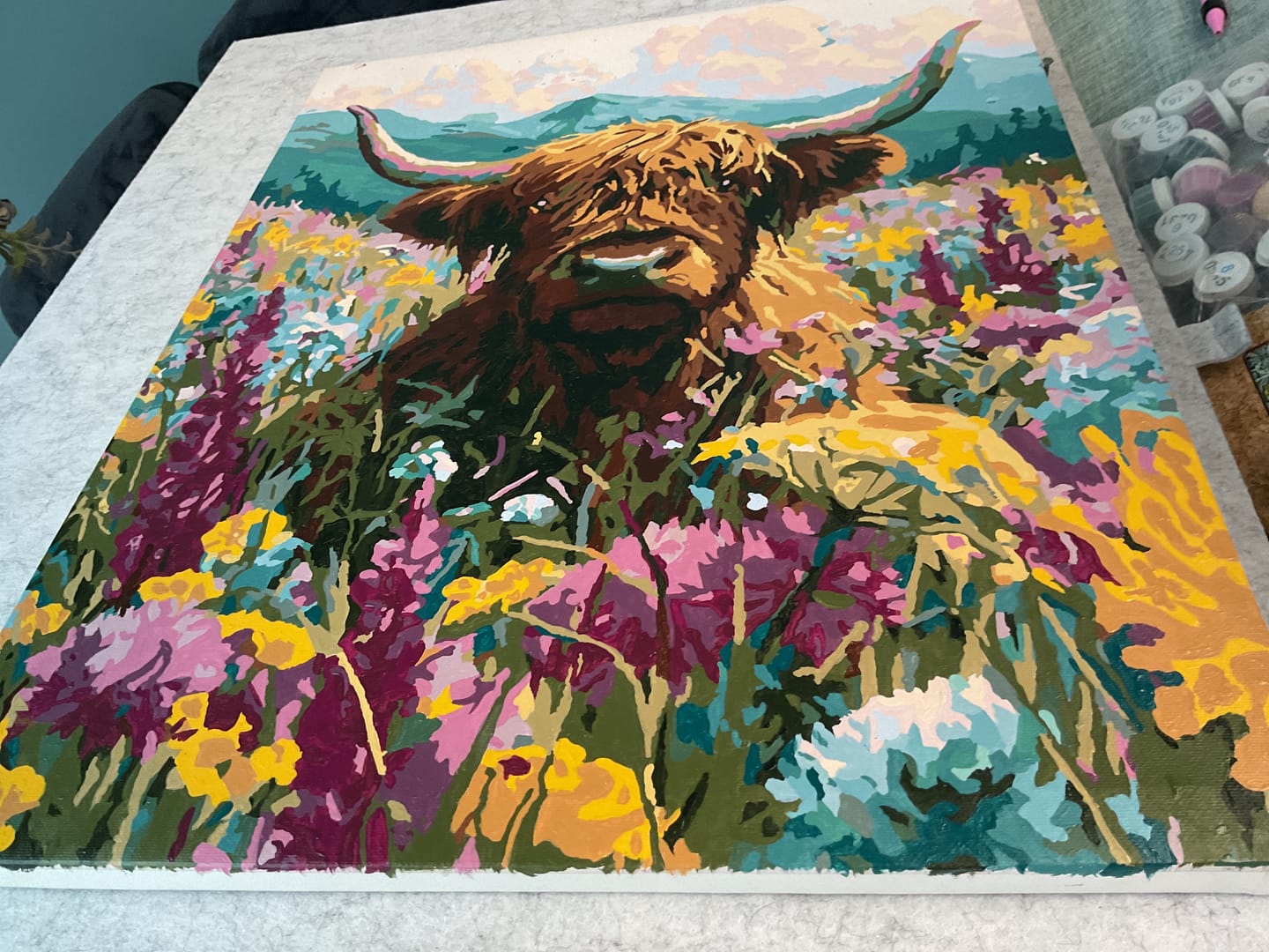 Customer photo review of Highland in Bloom | Paint by Number