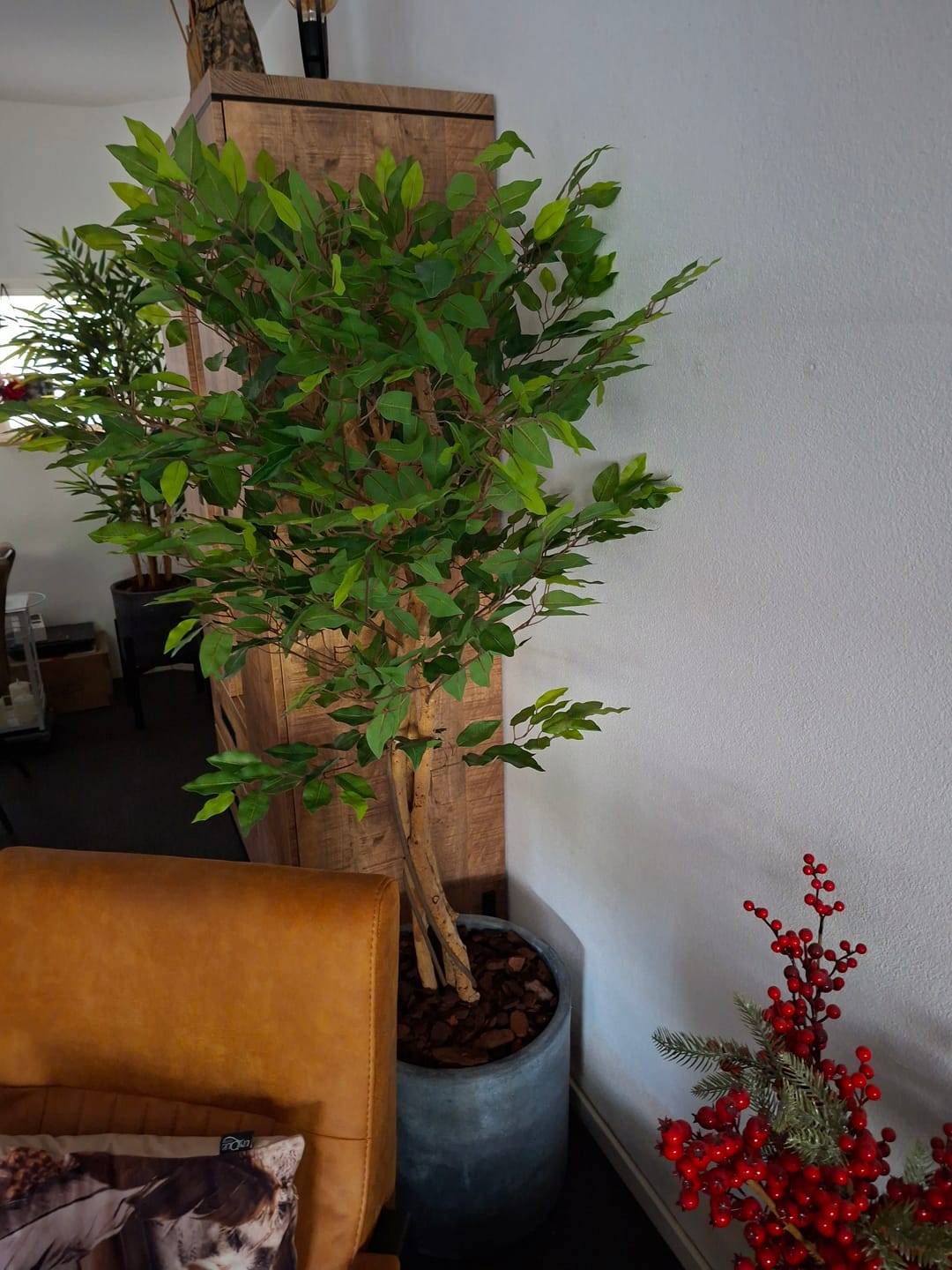 Customer photo review of Kunst Ficus 150cm