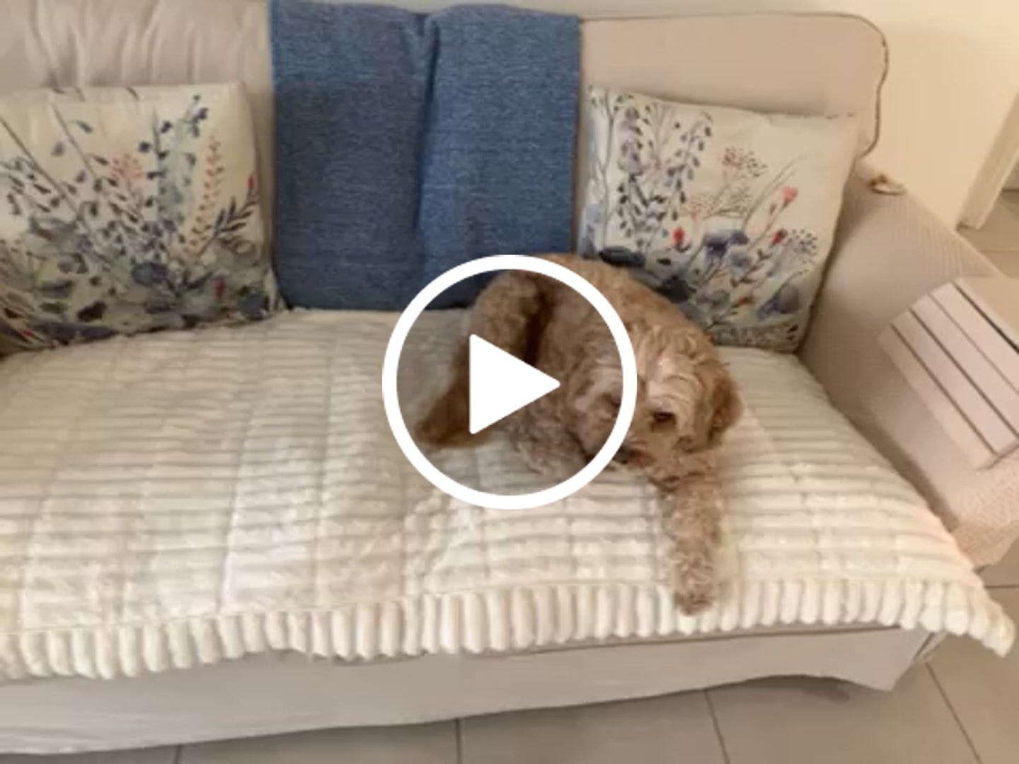 Customer video review of CouchCloud - Couch Covers