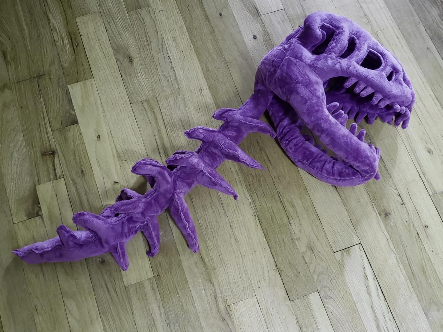 Customer photo review of Dino Plush Hoodie
