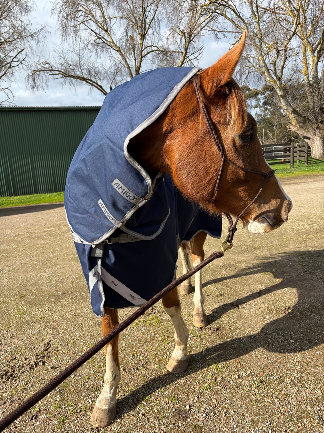 Customer photo review of Amigo 1200D Plus Turnout 50g