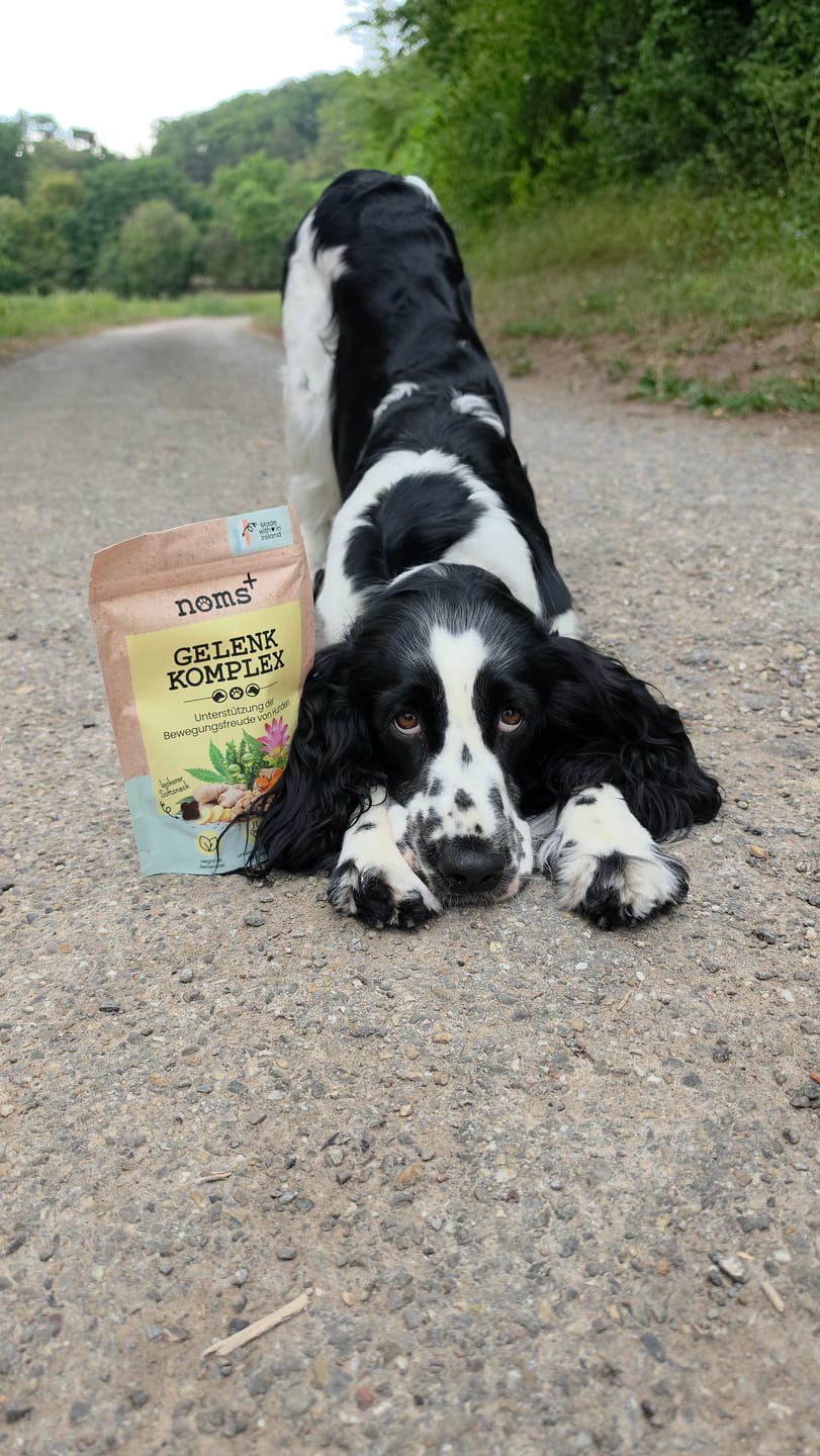 Customer photo review of Gelenk-Komplex für Hunde