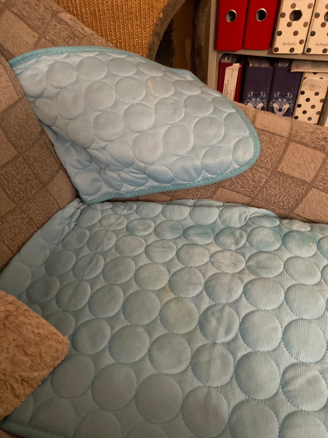 Customer photo review of Tapis Rafraîchissant pour Chat – Offrez-lui un confort immédiat