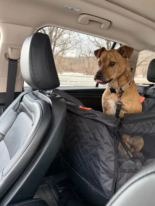 Customer photo review of Caisse de transport sécurisé voiture pour chien