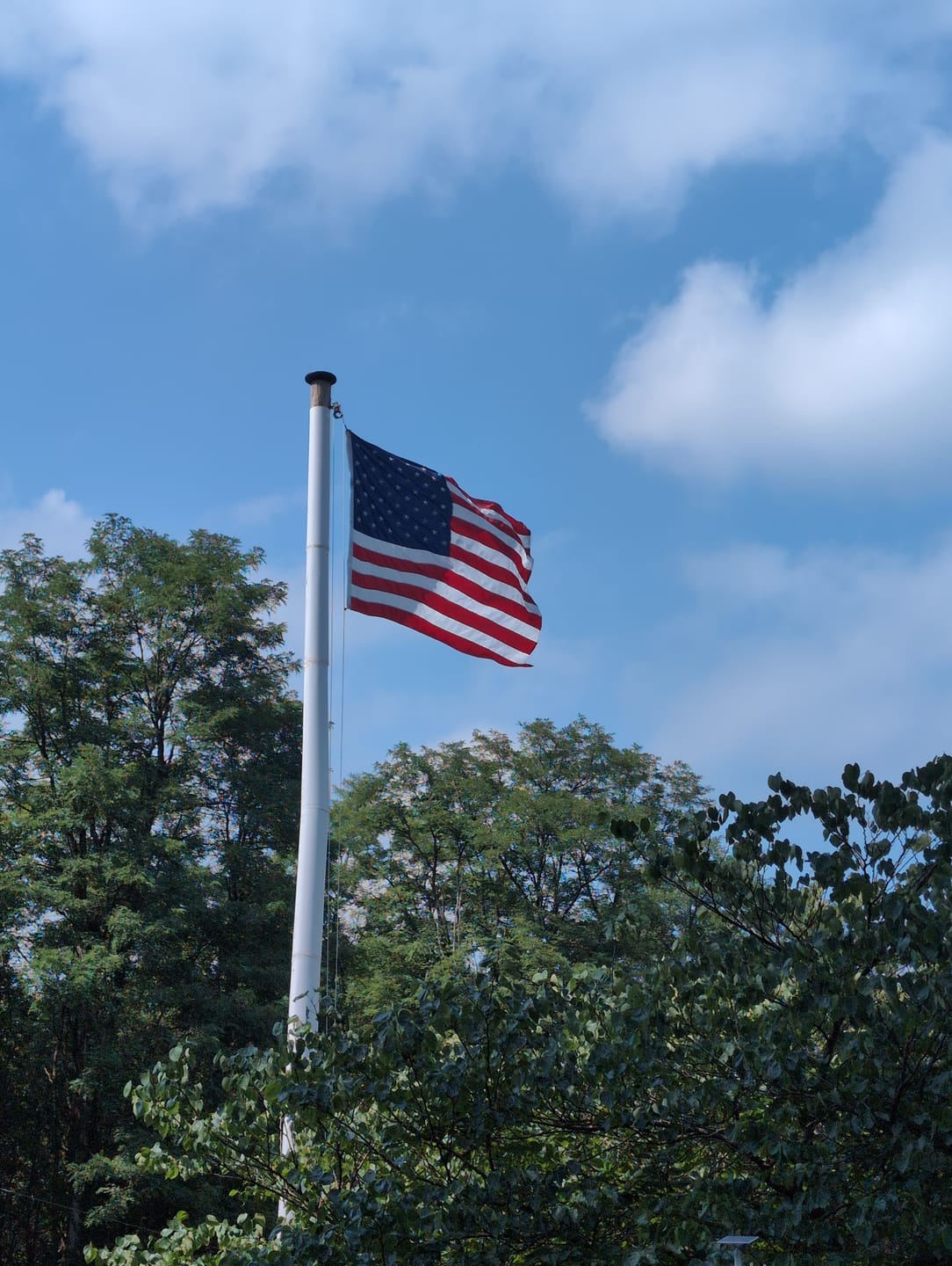 Customer photo review of 5' x 8' American Flag