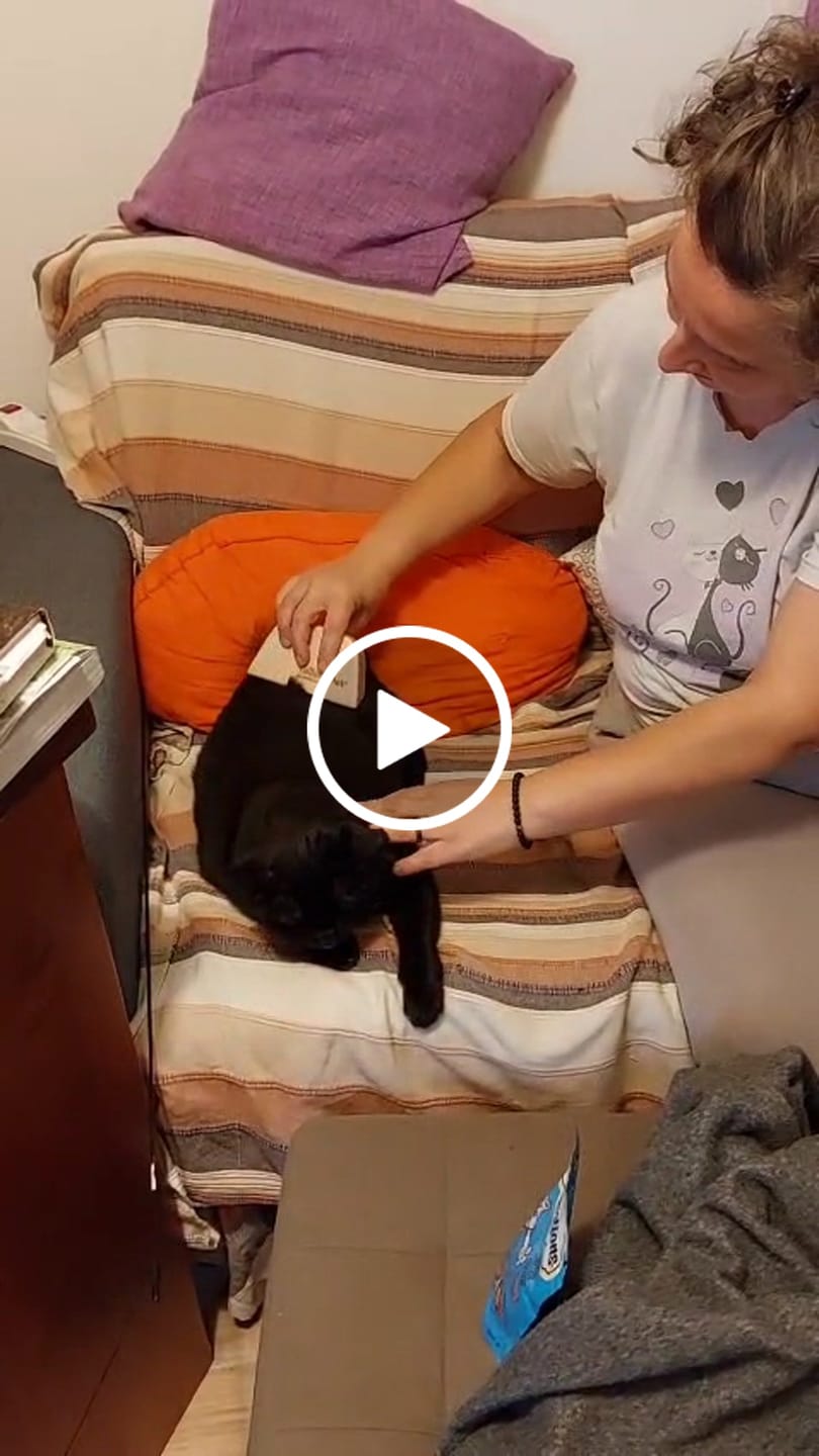 Customer video review of Slanatore Gattinathor® per cani e gatti a pelo corto