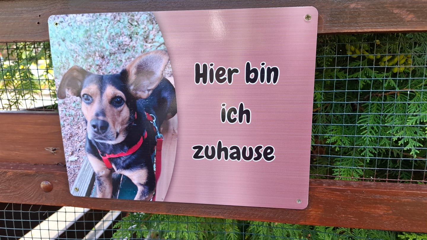 Customer photo review of Hunde-Türschild personalisiert mit Foto & Text (UV- und wetterfest)