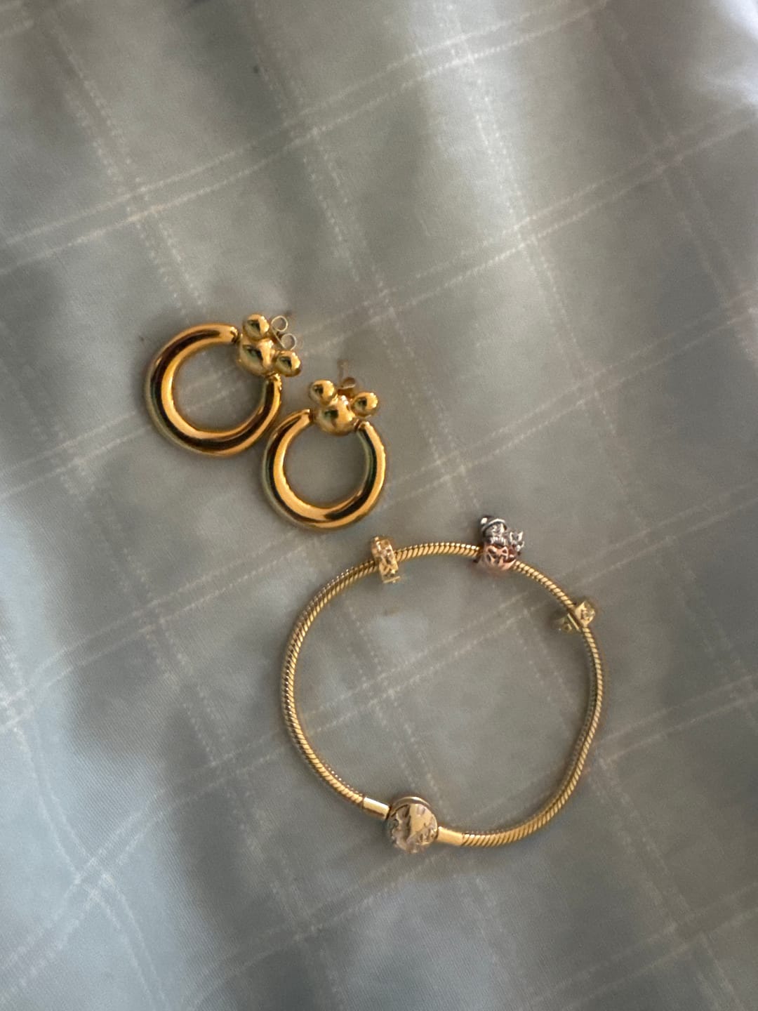Customer photo review of Mega Leader of the Club Earrings