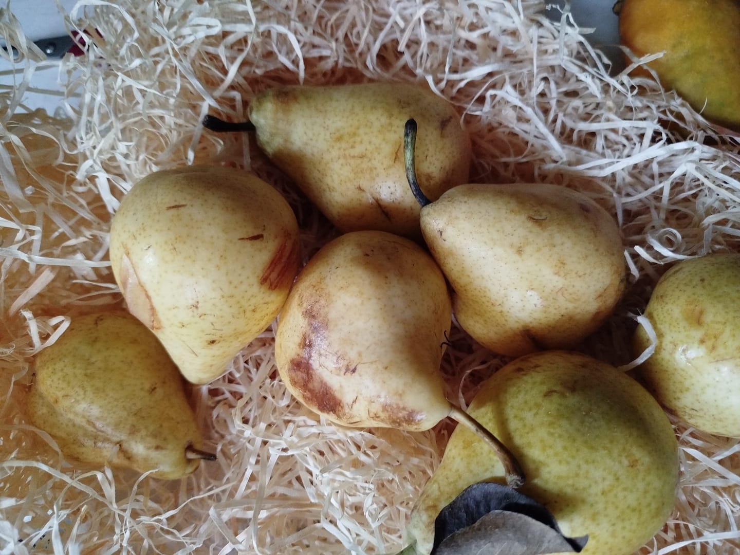 Customer photo review of Birnen Guyot Bio aus Frankreich